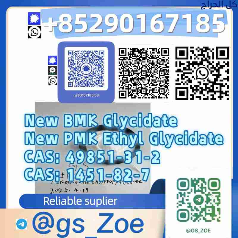 Launch Event: Explore New Possibilities in Formula...