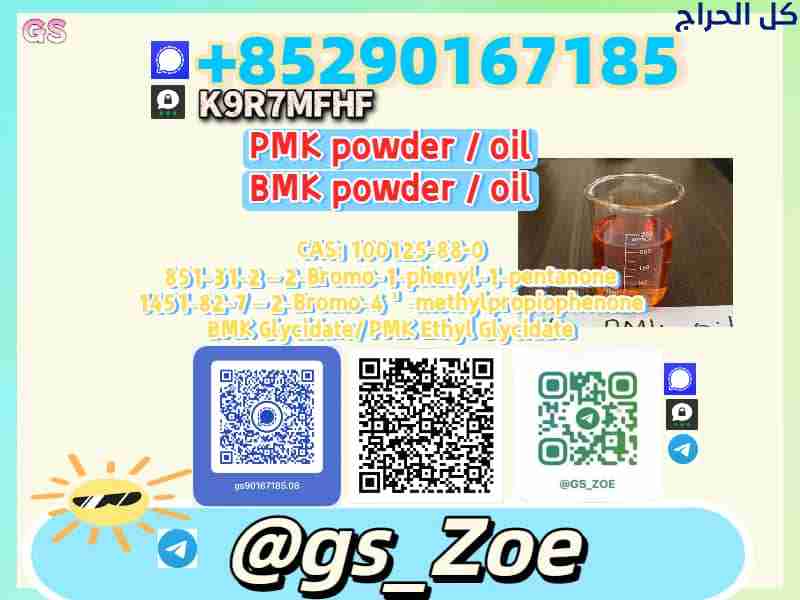 28578-16-7, 5449-12-7 B.M.K , P.M.K — Technical Ho...