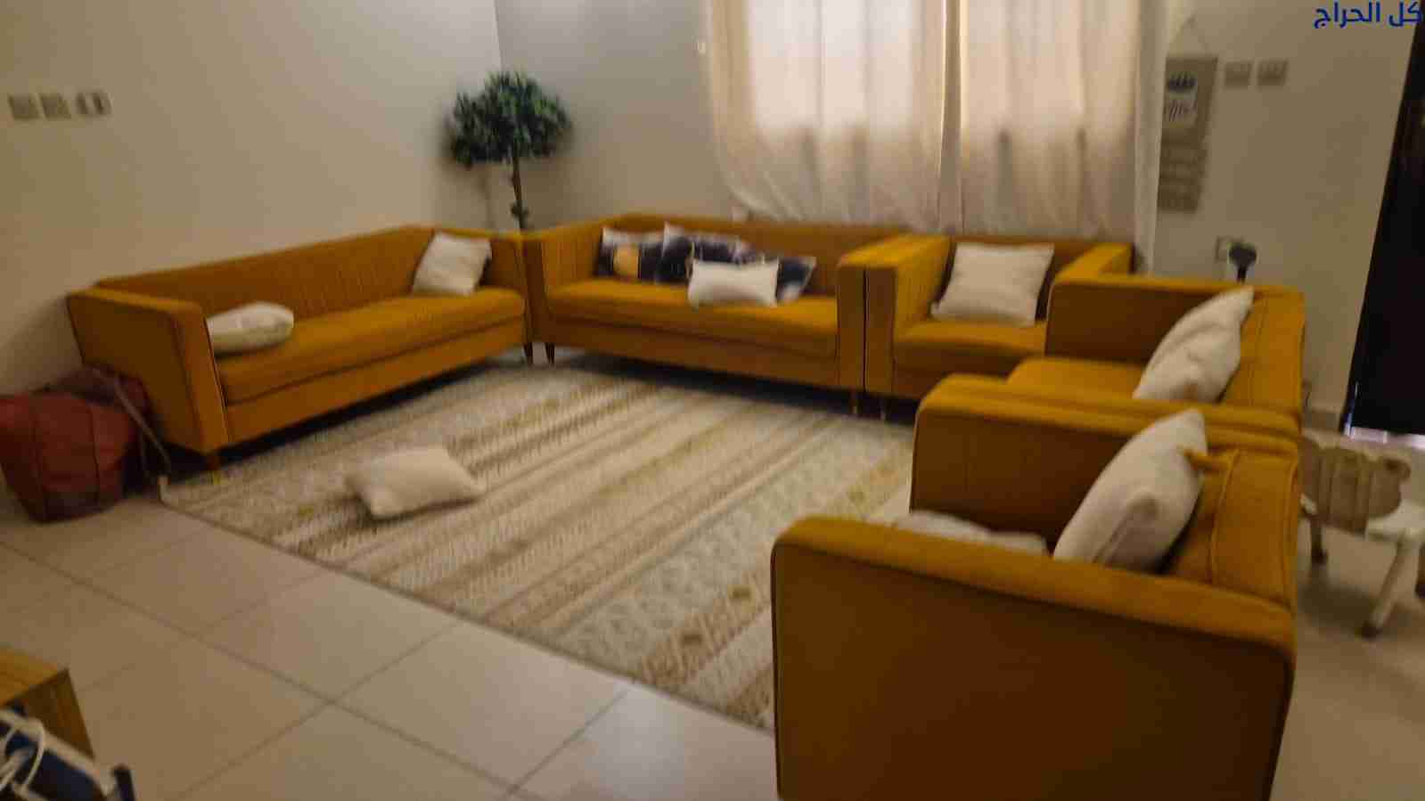 دينا نقل عفش داخل حي الرائد 0556418907
