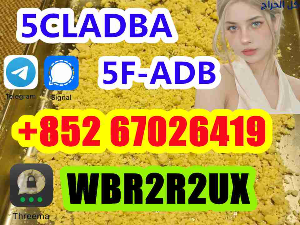5cladba precursor 5cl raw materials 5cladb 5cladba