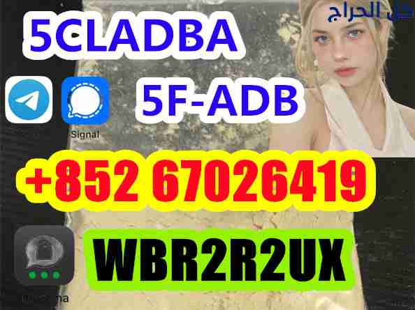 5cladba Strongest Cannabis 5cladba Powder