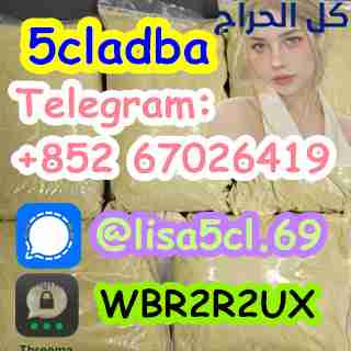 5cladba precursor raw material 5cl adb a raw mater...